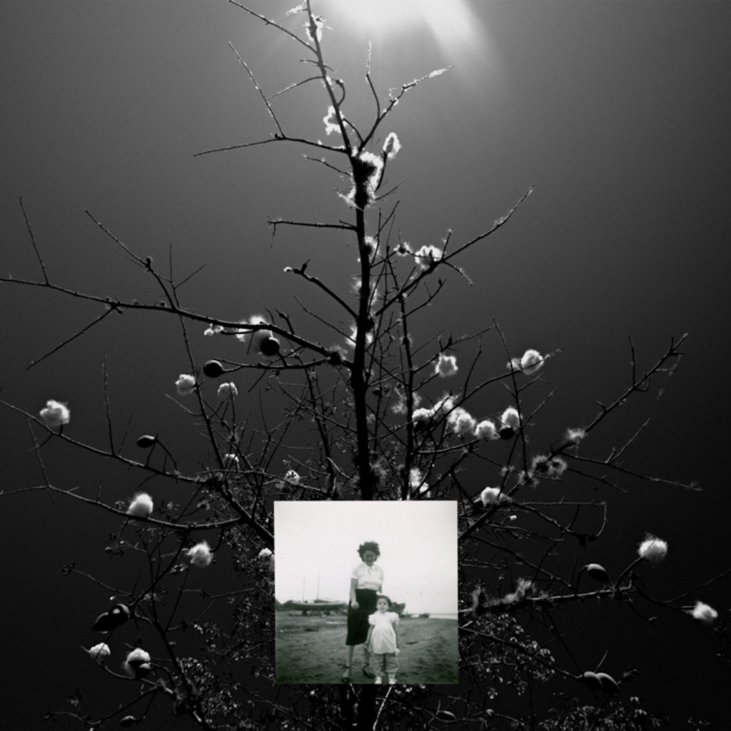 Silencio, Lucero Alomia