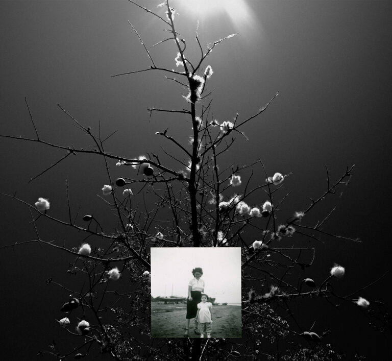 Silencio, Lucero Alomia