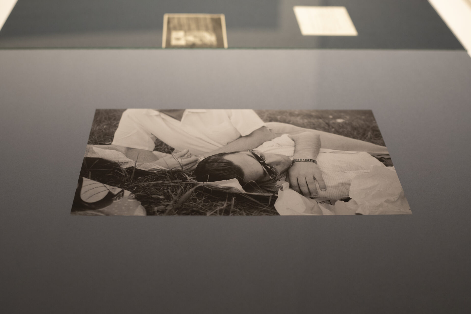 Muestra Archivo Amateur. Curaduría: Camarada