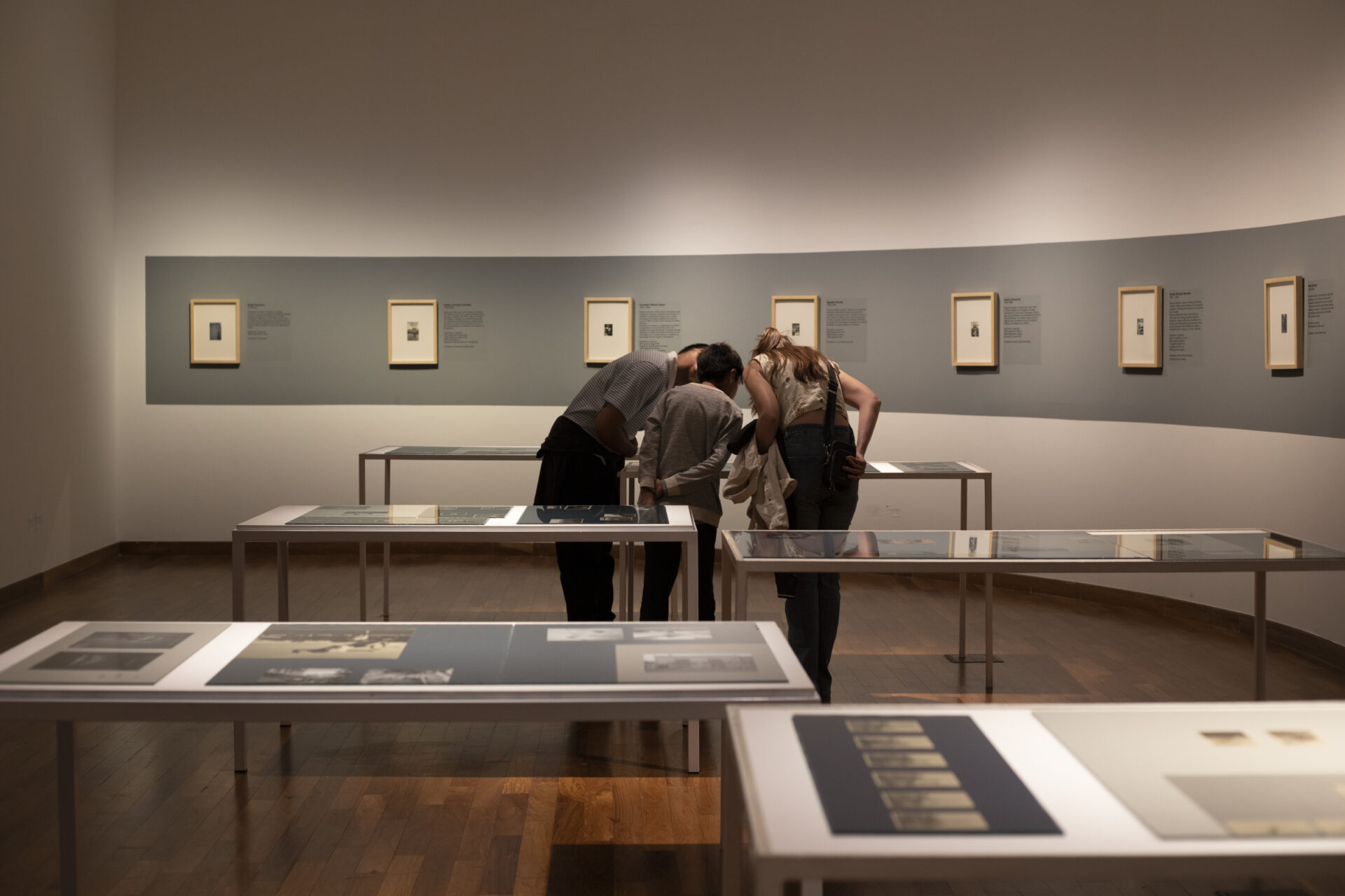 Muestra Archivo Amateur. Curaduría: Camarada